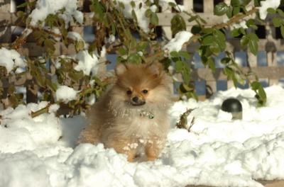 Dec9_05_0795.JPG