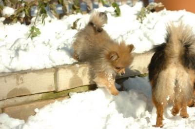Dec9_05_0798.JPG