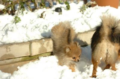 Dec9_05_0799.JPG