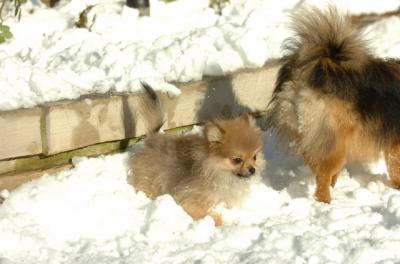 Dec9_05_0801.JPG