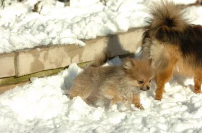 Dec9_05_0802.JPG