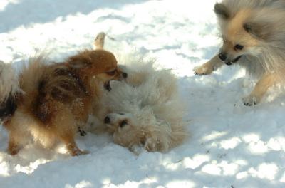 Dec9_05_0803.JPG