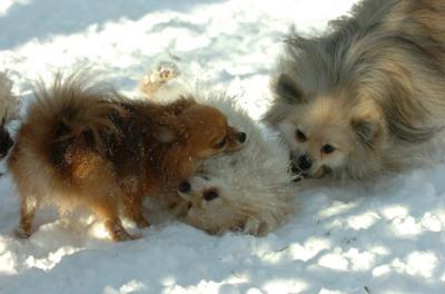 Dec9_05_0804.JPG