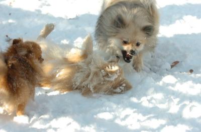 Dec9_05_0807.JPG