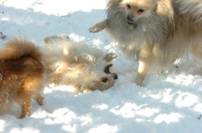 Dec9_05_0809.JPG