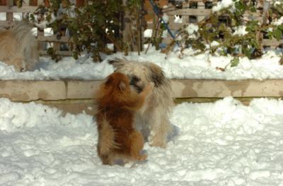 Dec9_05_0866.JPG
