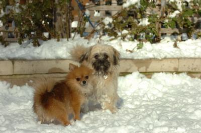Dec9_05_0867.JPG