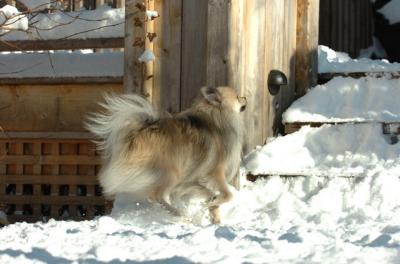 Dec9_05_0868.JPG