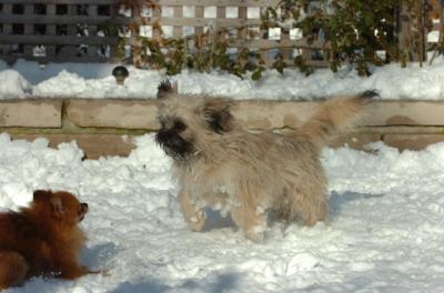 Dec9_05_0869.JPG