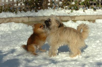 Dec9_05_0870.JPG