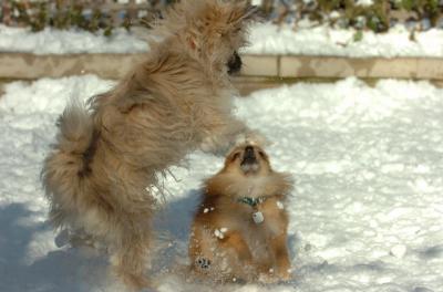 Dec9_05_0873.JPG