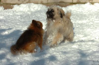 Dec9_05_0874.JPG