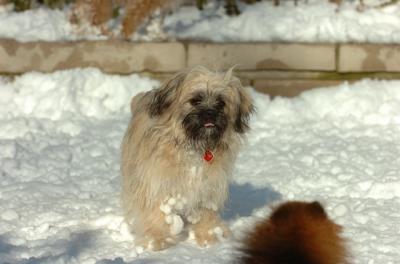 Dec9_05_0875.JPG