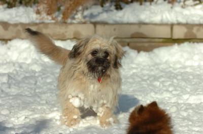 Dec9_05_0876.JPG