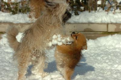 Dec9_05_0877.JPG