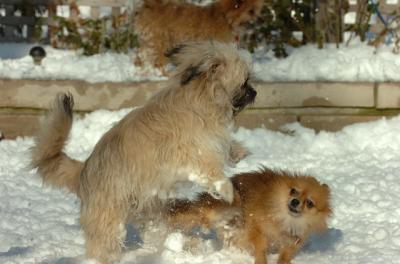 Dec9_05_0878.JPG