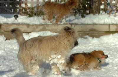 Dec9_05_0879.JPG