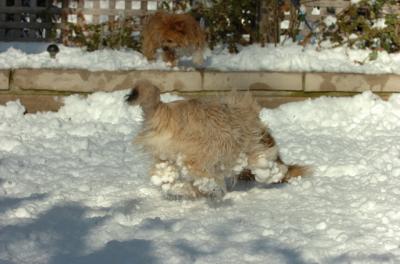 Dec9_05_0880.JPG