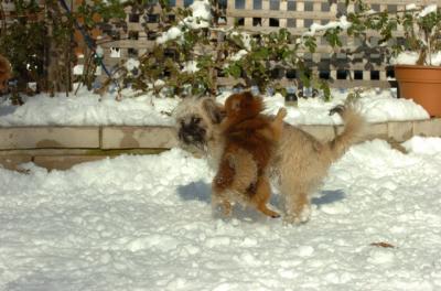 Dec9_05_0881.JPG