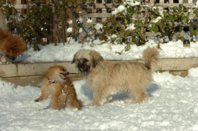Dec9_05_0883.JPG