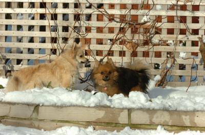 Dec9_05_0884.JPG