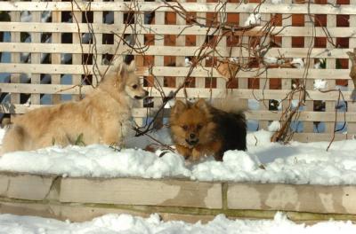 Dec9_05_0885.JPG