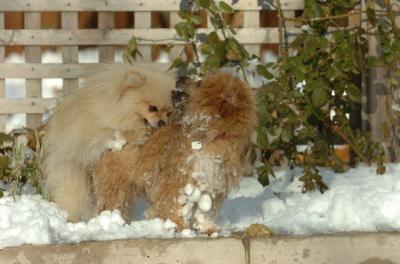 Dec9_05_0887.JPG