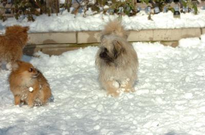 Dec9_05_0888.JPG