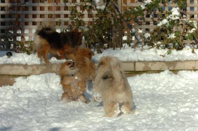 Dec9_05_0889.JPG
