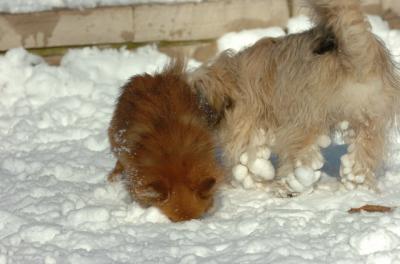 Dec9_05_0895.JPG