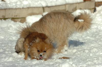 Dec9_05_0896.JPG