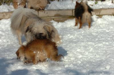 Dec9_05_0898.JPG