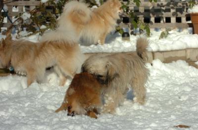 Dec9_05_0900.JPG