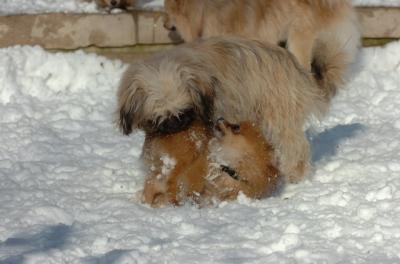 Dec9_05_0903.JPG