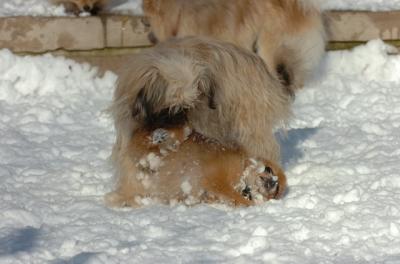Dec9_05_0904.JPG