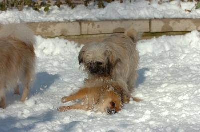 Dec9_05_0905.JPG