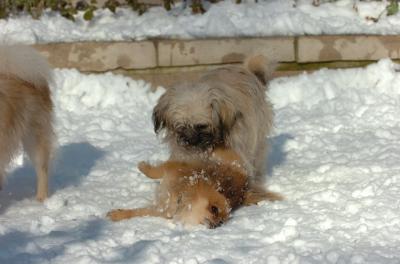 Dec9_05_0906.JPG