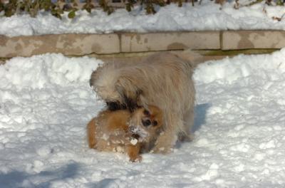 Dec9_05_0907.JPG