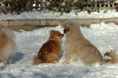 Dec9_05_0909.JPG