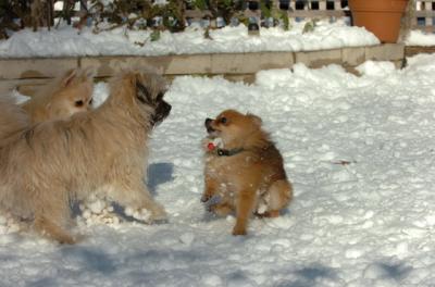 Dec9_05_0910.JPG