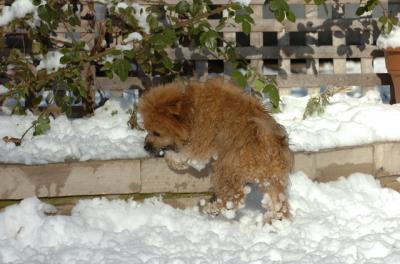 Dec9_05_0916.JPG