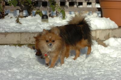 Dec9_05_0918.JPG