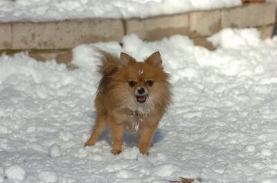 Dec9_05_0919.JPG