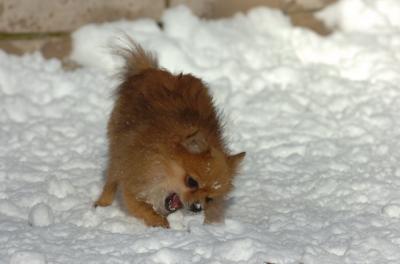 Dec9_05_0920.JPG