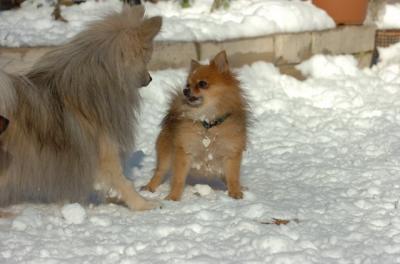 Dec9_05_0922.JPG