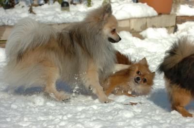 Dec9_05_0923.JPG
