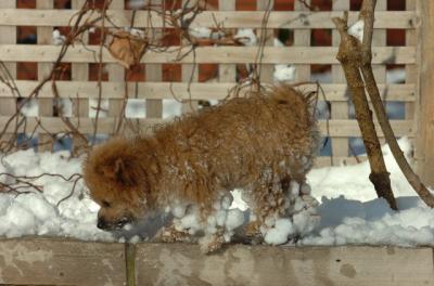 Dec9_05_0927.JPG