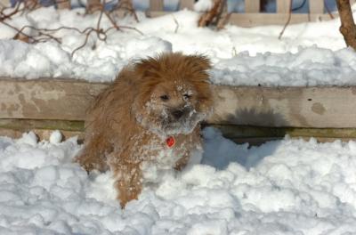 Dec9_05_0929.JPG
