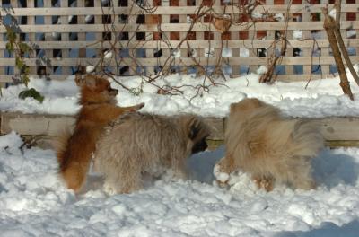 Dec9_05_0931.JPG