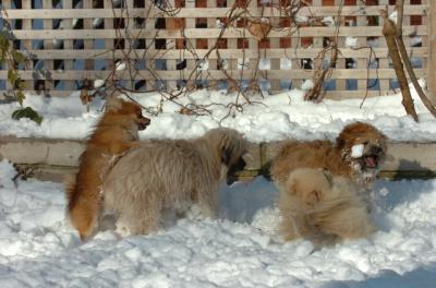 Dec9_05_0932.JPG